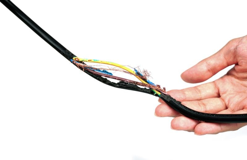 Fil électrique rongé par des souris