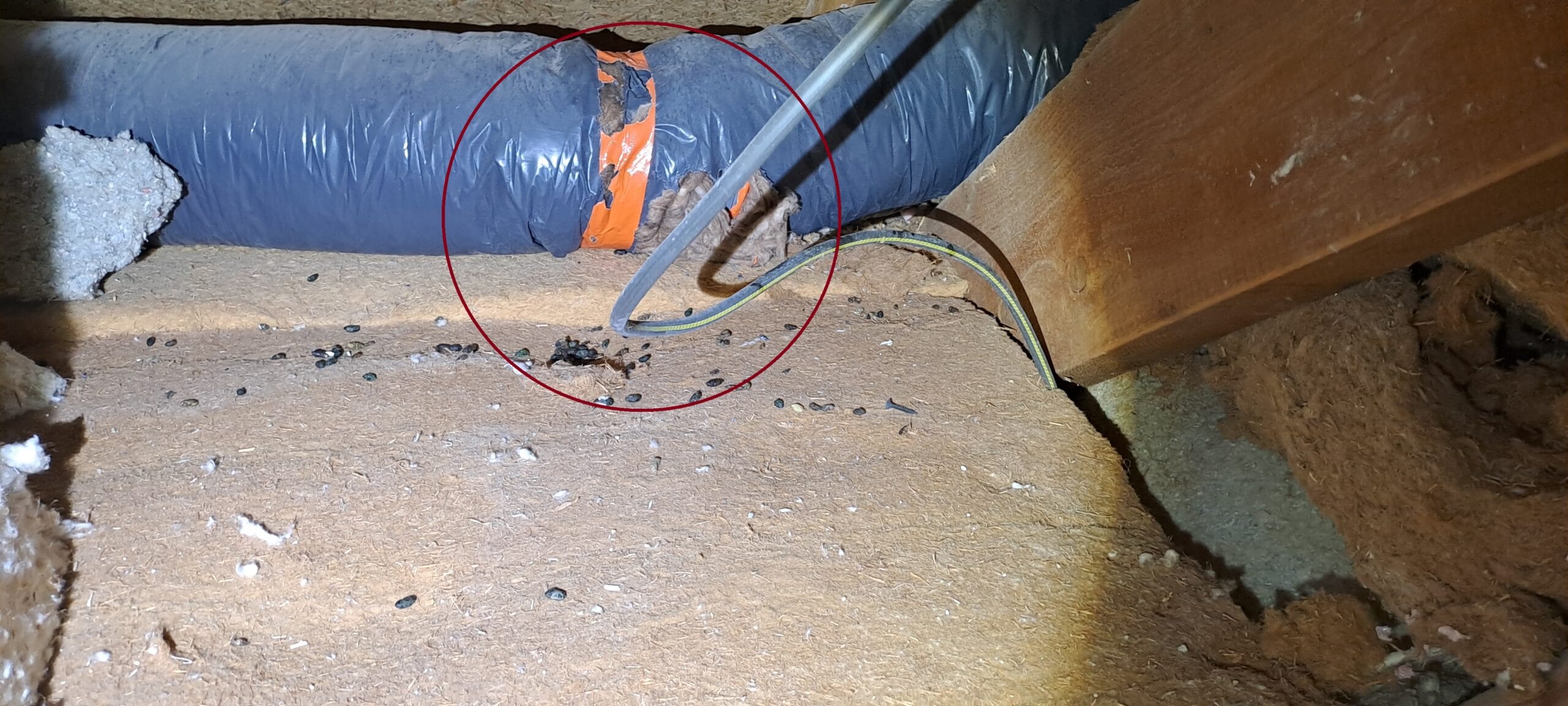 Gaine de VMC percée par des rats