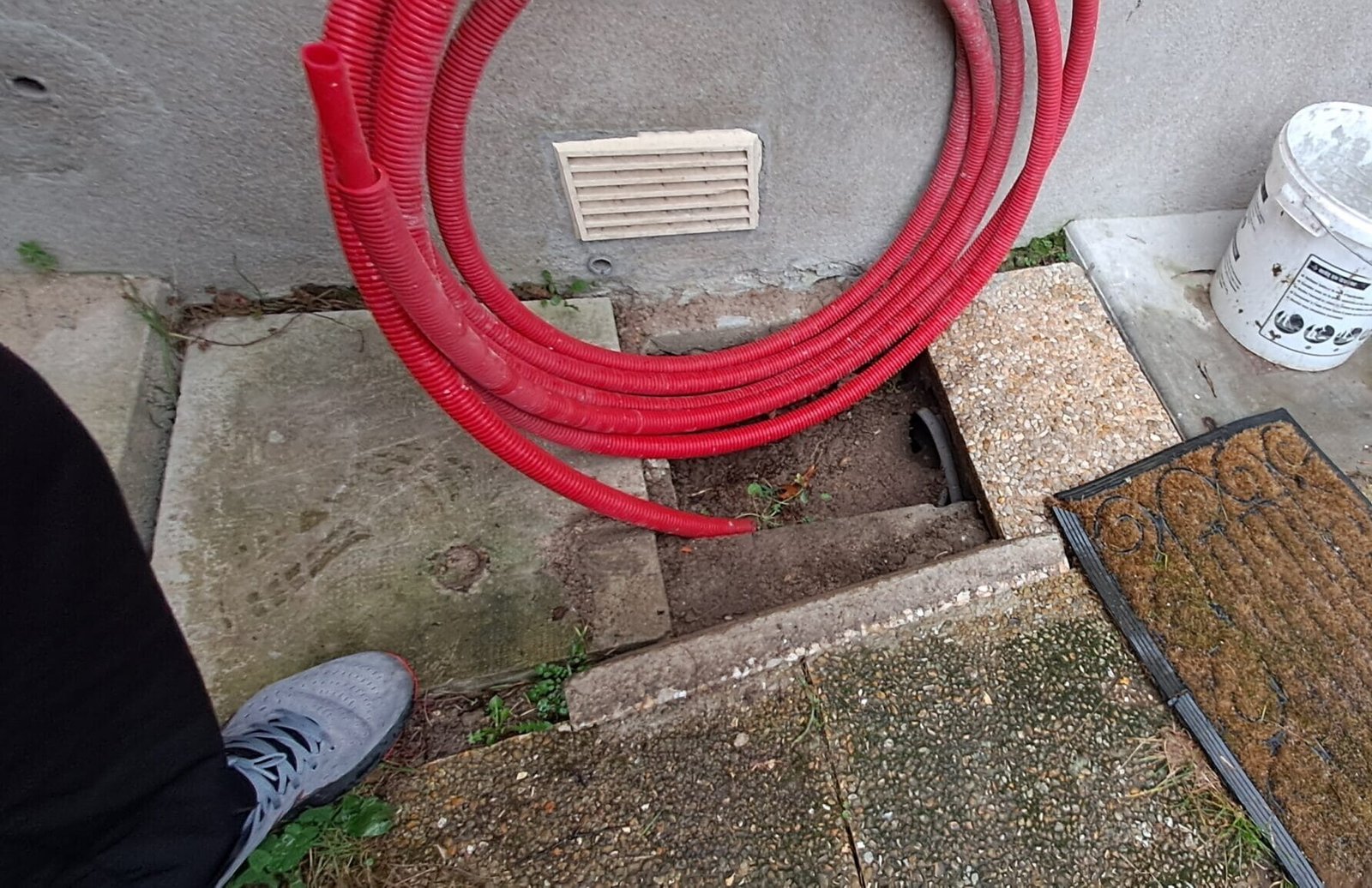 Trou dans la terre fait par des rats
