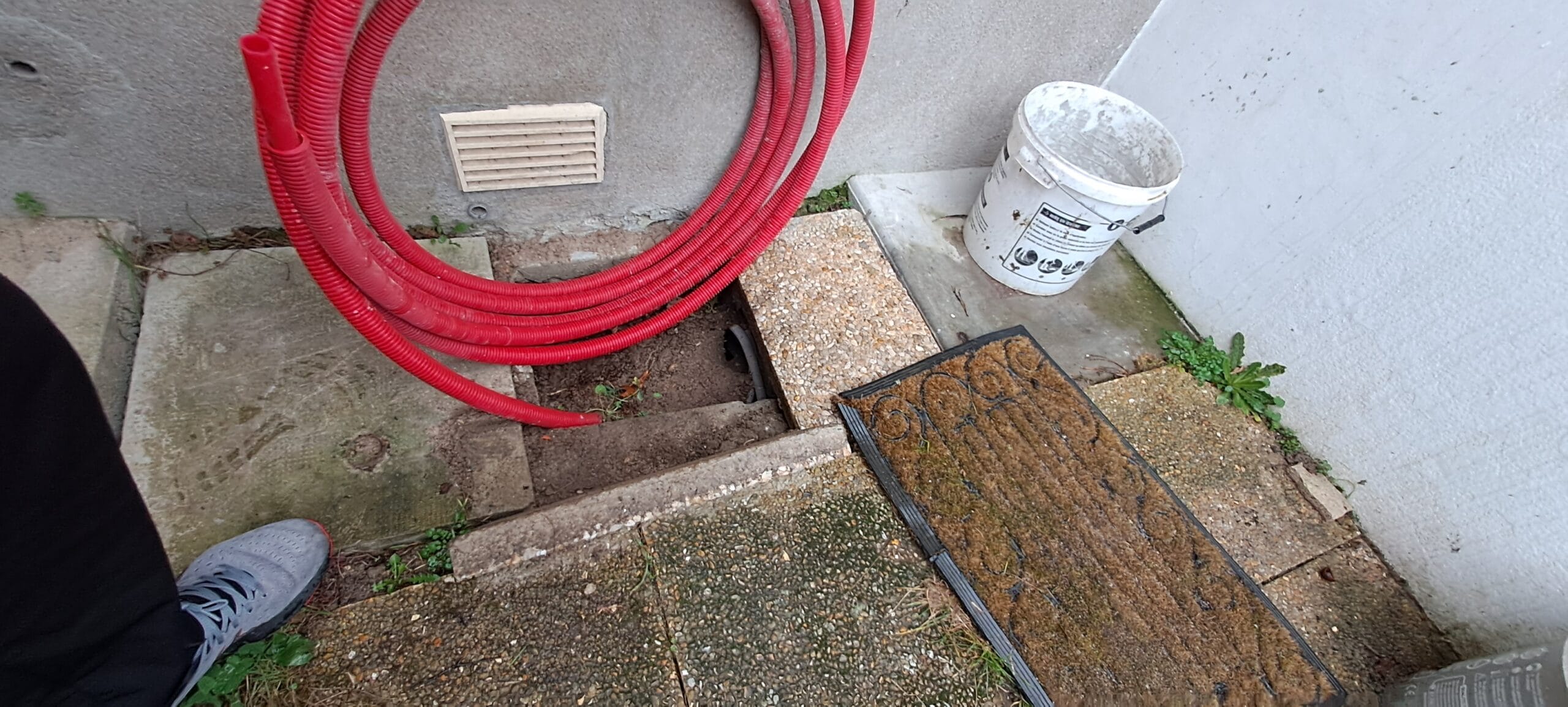 Trou dans la terre fait par des rats