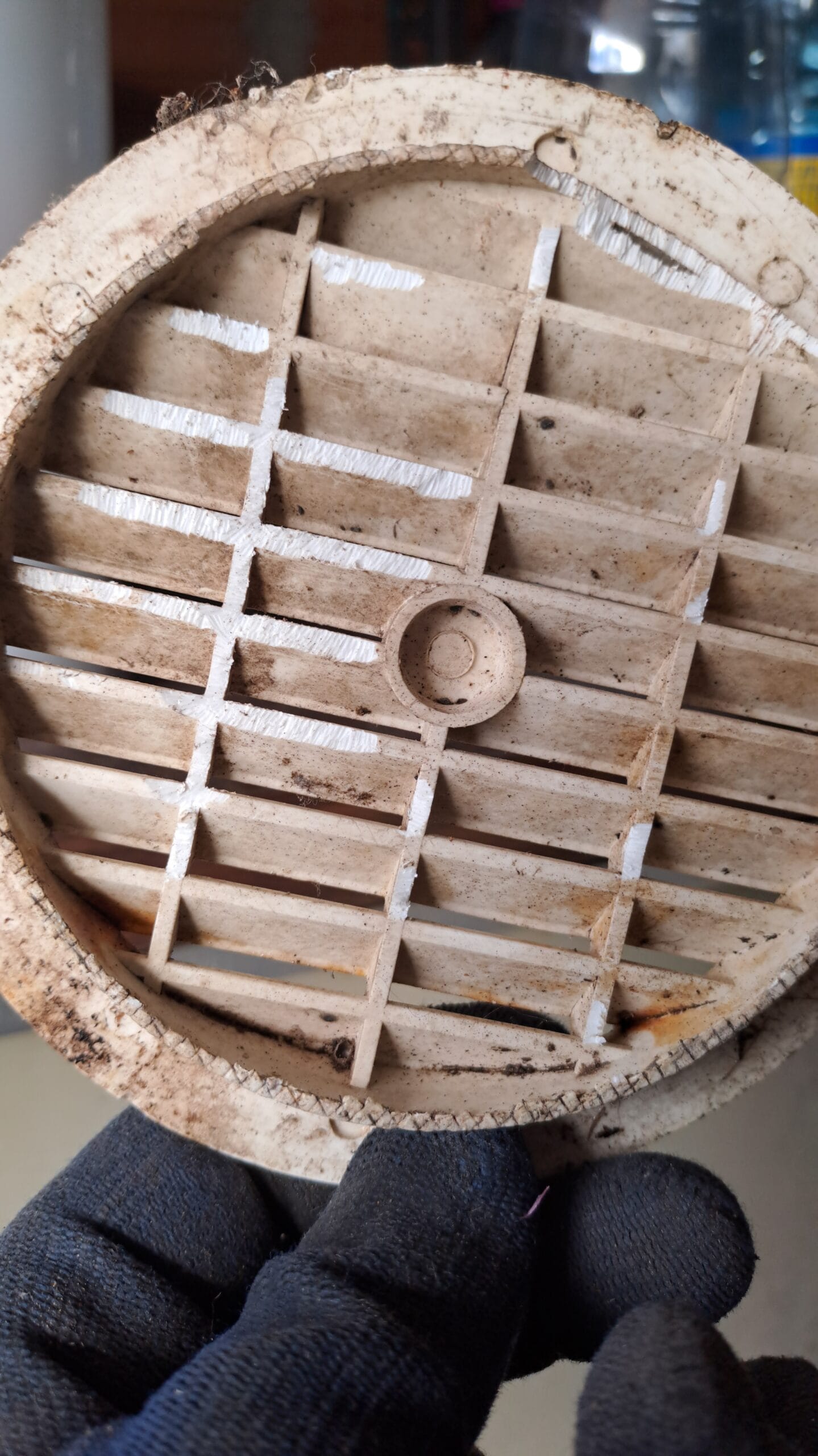 photos de dégâts de rats ou souris