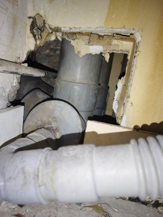 Trou dans un mur élargi par des rats