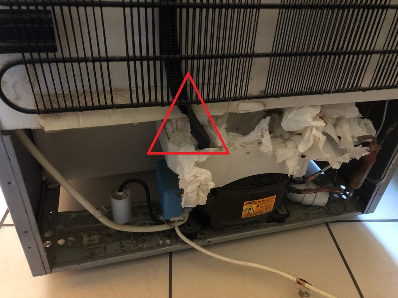 Gaine de réfrigérateur rongée par des rats