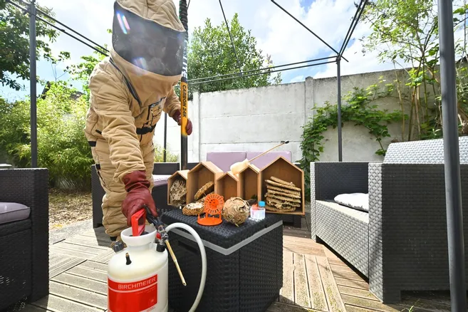 Urgence Guêpes Frelons Nuisibles dans la REPUBLIQUE  DU CENTRE 