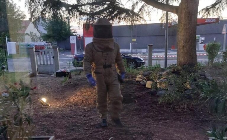 Tenue de protection frelons asiatiques - Intervention pour des frelons asiatiques dans un sapin à Saran avenue Michel Guérin