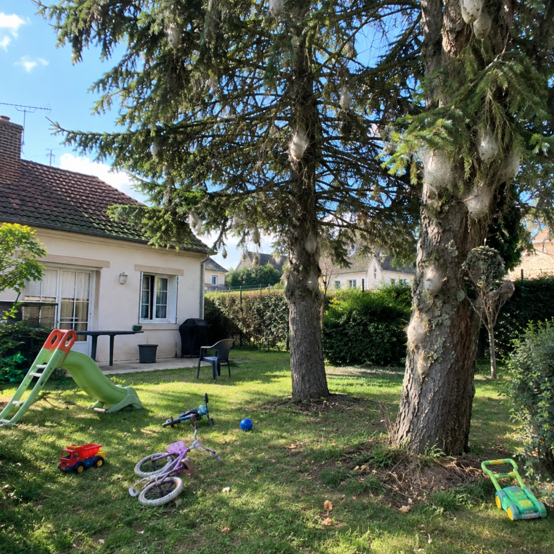 Des chenilles processionnaires à Olivet